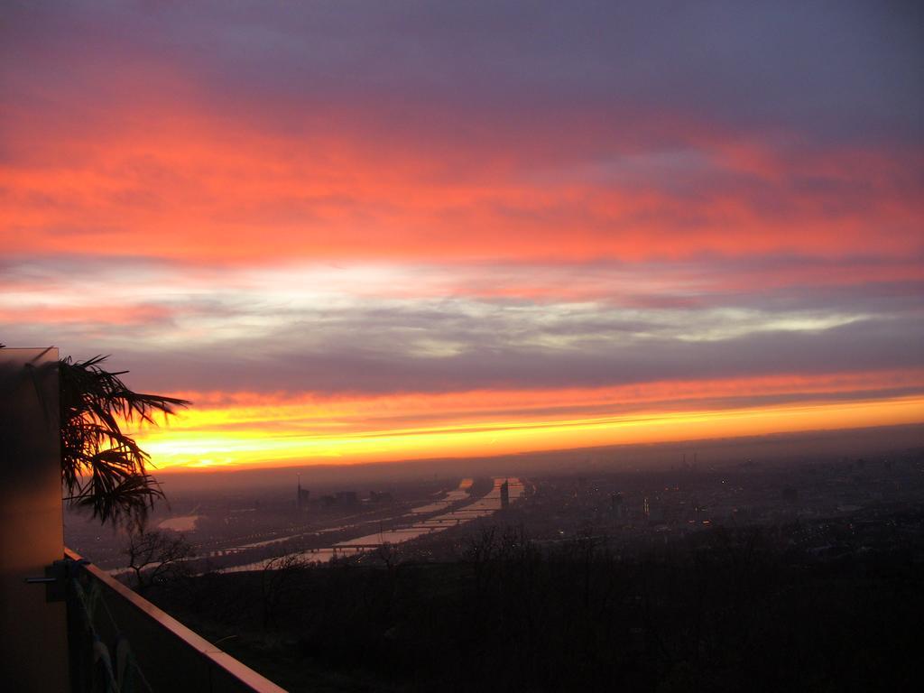 Suitehotel Kahlenberg ウィーン 部屋 写真